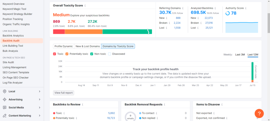 backlink audit report